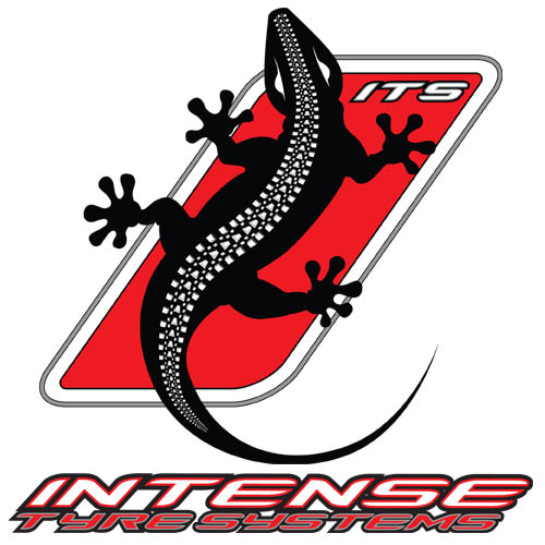 its logo lizard