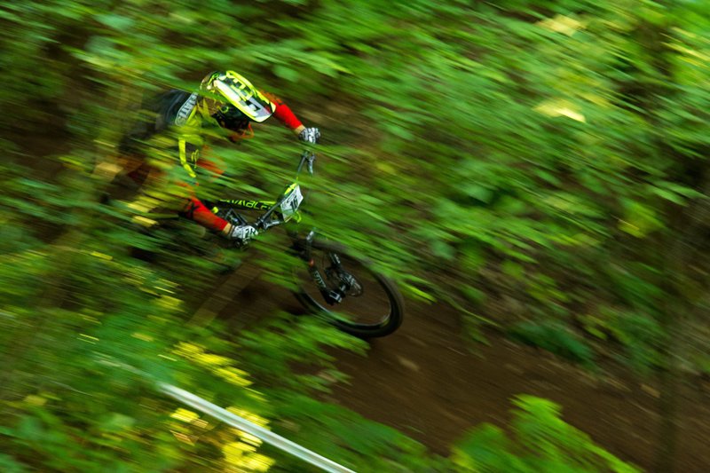 video tiger trail dh race cover