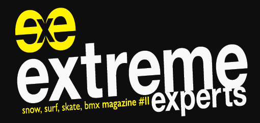 extremexperts