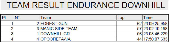 naousa_endurance_teams